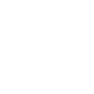 Icono