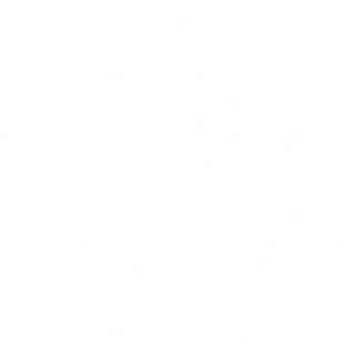 Icono