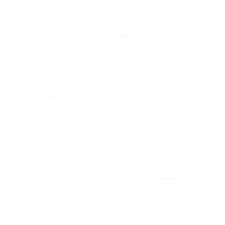 Icono
